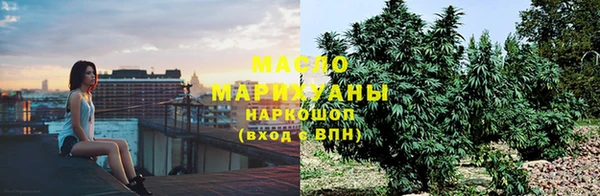 мдпв Богородск