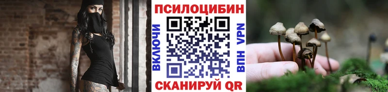 Псилоцибиновые грибы ЛСД  OMG маркетплейс  Новодвинск 